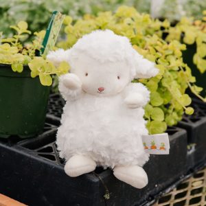 Wee Kiddo the Lamb – White